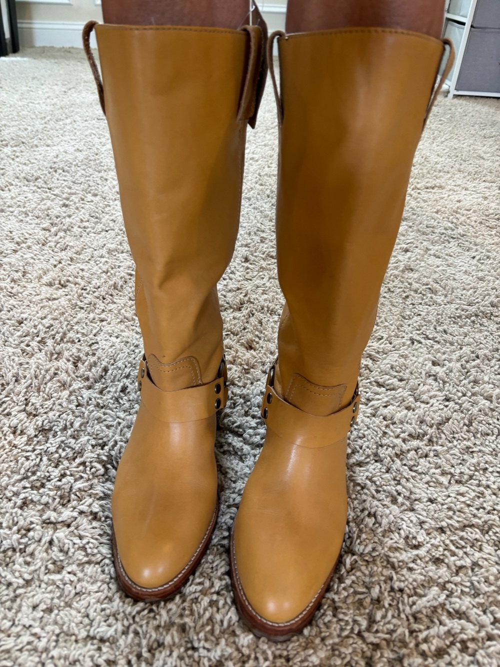 FRYE Classic Tall Women's Riding Boots in Yellow/Tan